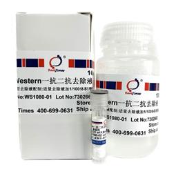 Western一抗二抗去除液（中性，劇烈型）