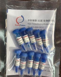 2×Tricine多肽上樣緩沖液（變性，還原，含溴酚藍(lán)）