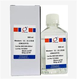 Western一抗二抗去除液（弱堿，溫和型）