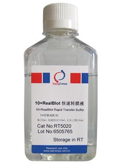 10×RealBlot快速轉(zhuǎn)膜液