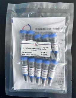 6×DNA上樣緩沖液(三染料)