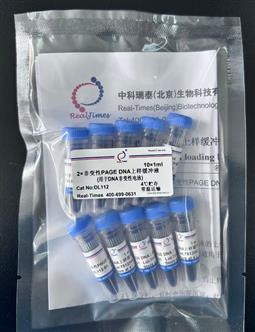 2×非變性PAGE  DNA上樣緩沖液