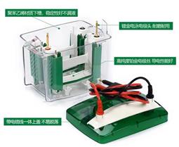 RT-Mini 4型電泳系統(tǒng)（槽+芯+副芯，配套伯樂用）